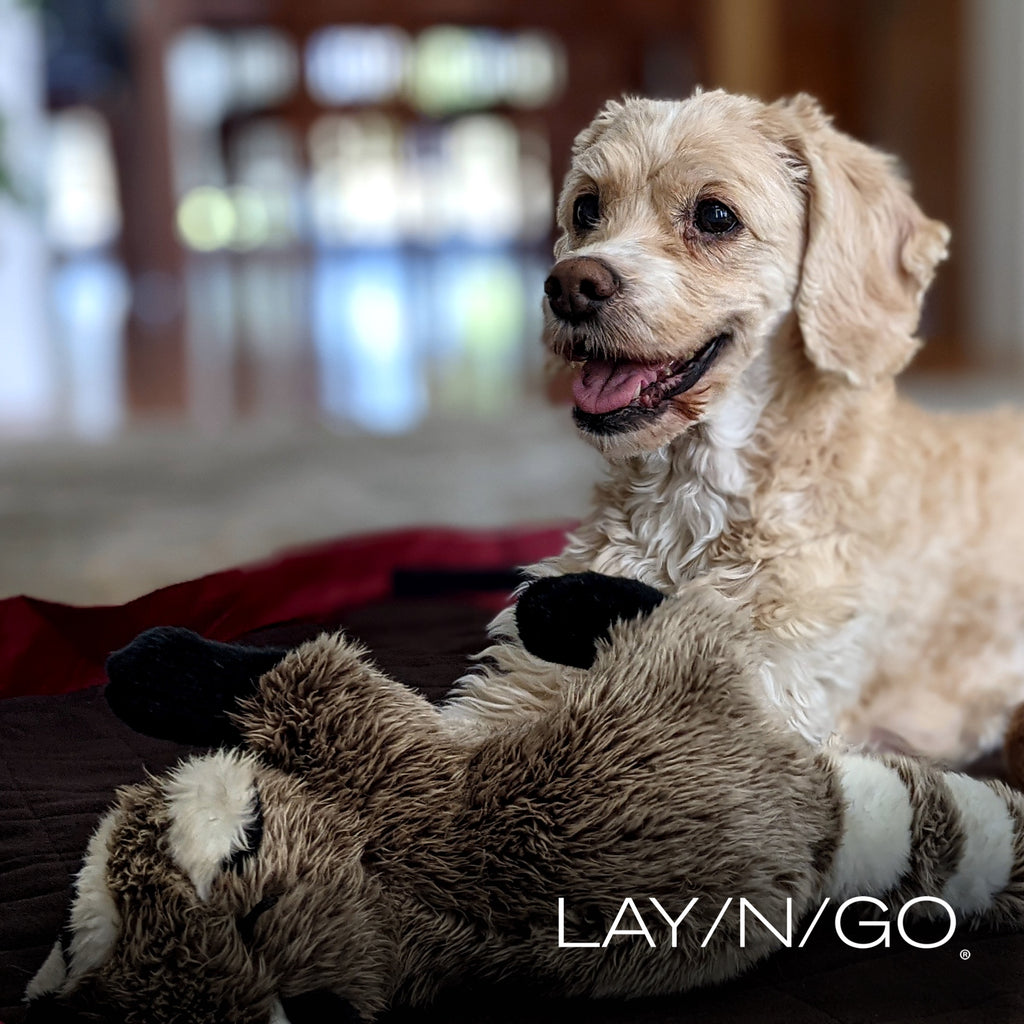 Lay-n-Go Travel Dog Bed (44")