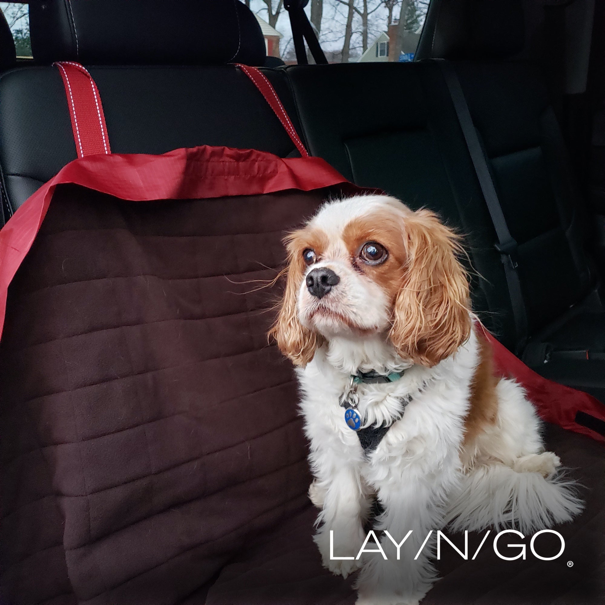 Lay-n-Go Travel Dog Bed (44")