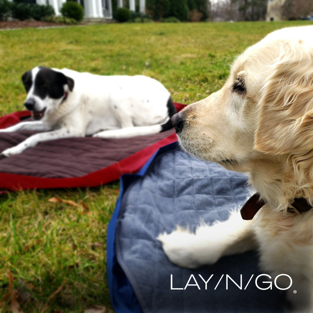 Lay-n-Go Travel Dog Bed (44")